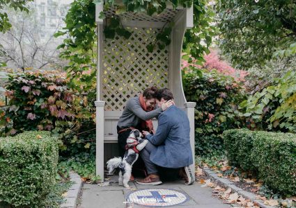 surprise proposal in Morningside drive park, manhattan