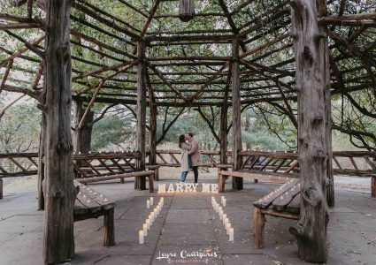 romantic surprise proposal at The Cop Cot with candles, central park