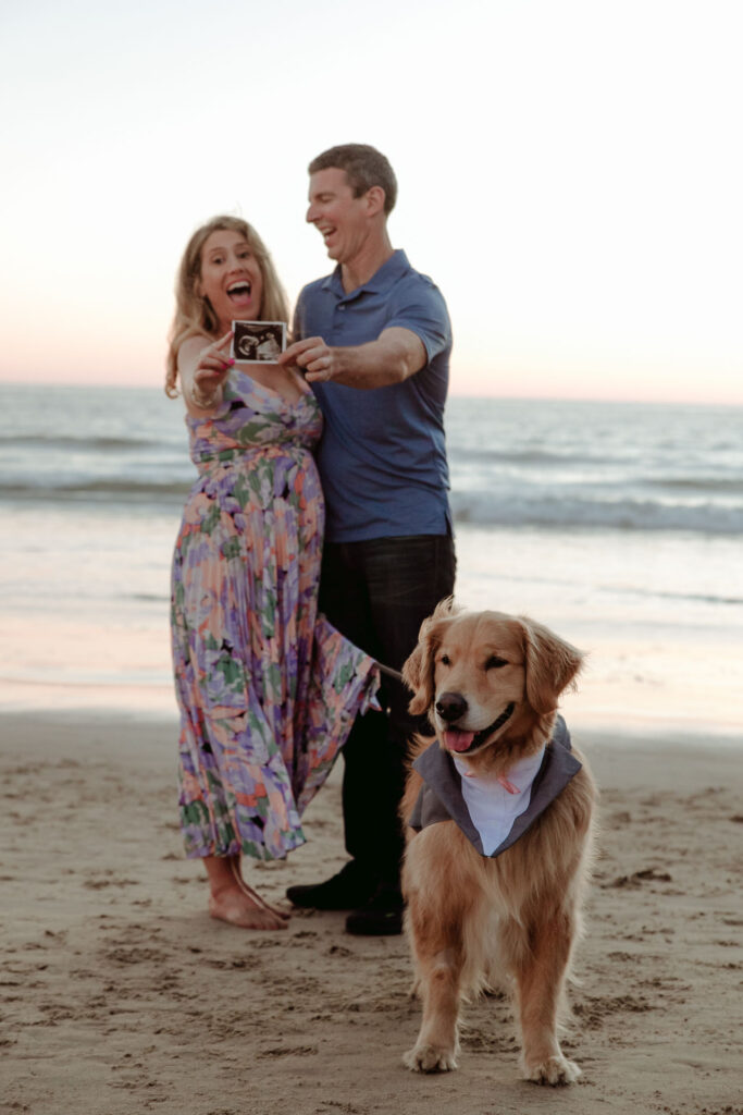 maternity photoshoot in santa monica beach at sunset